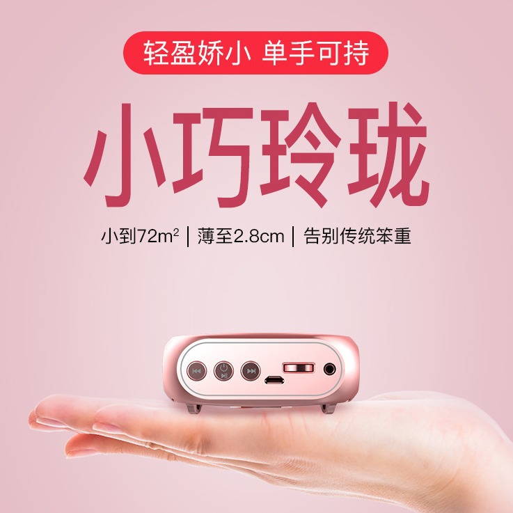 Nuo bixing S17 маленький пчелиный громкоговоритель учителя преподавание экскурсовод торговля громкоговоритель портативный плеер