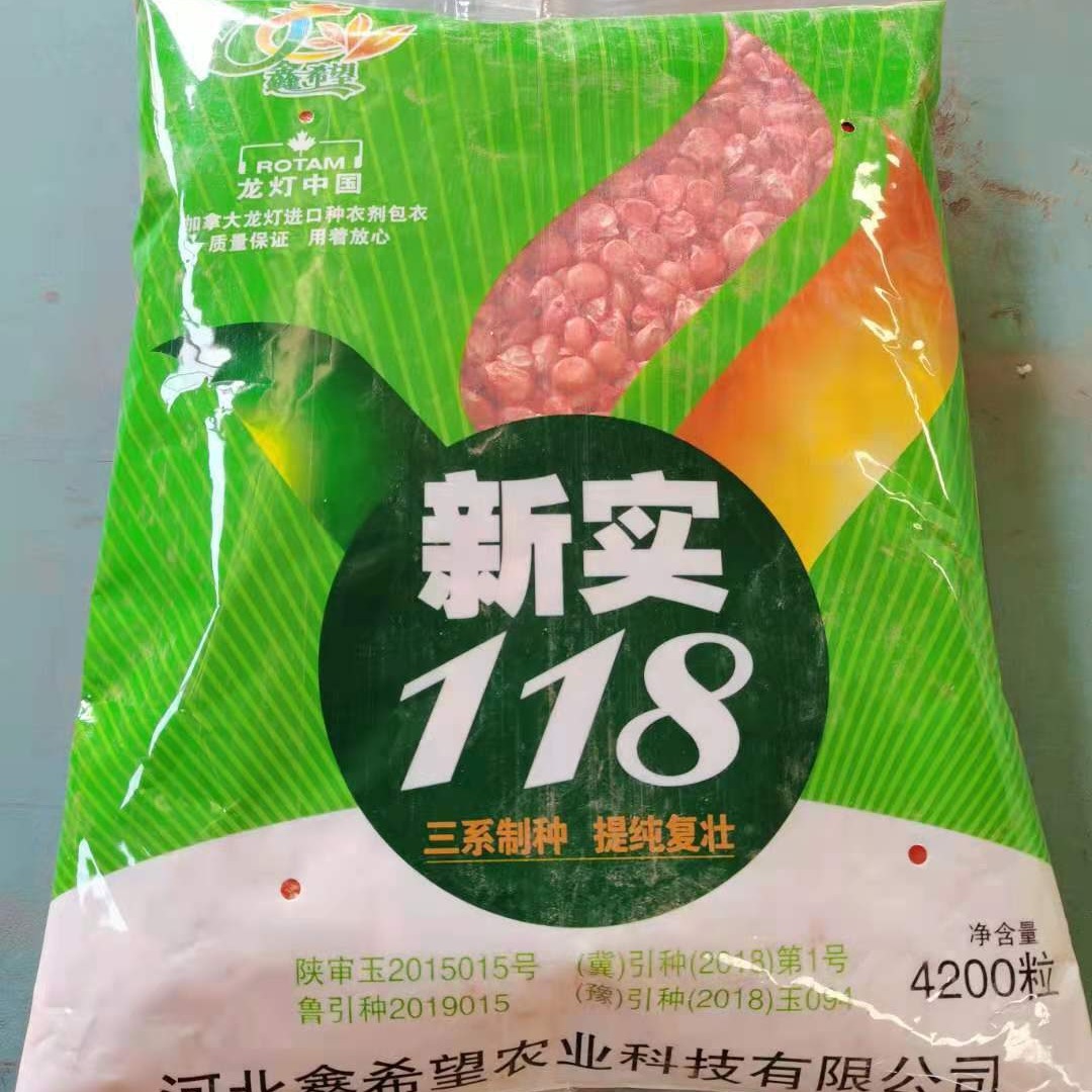 Xinshi 118 Corn Seeds Hybrid Corn Seeds Wholesale Common Agricultural Hybrid Seeds