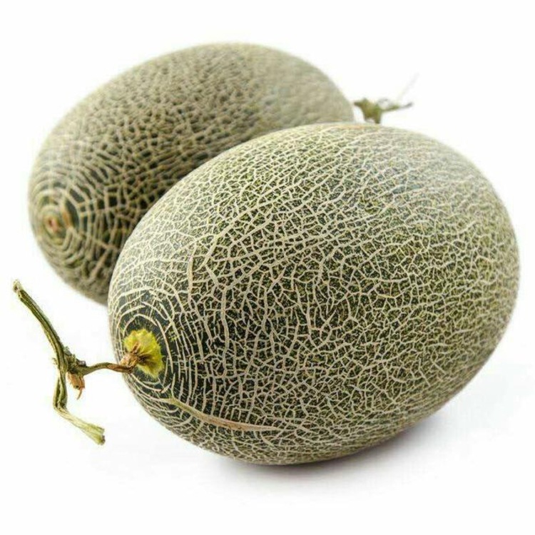 Shanyizhou Honey Origin Straight Honeydew Melon Free Shipping Xizhou Honey Cantaloupe Melon Drop Shipping