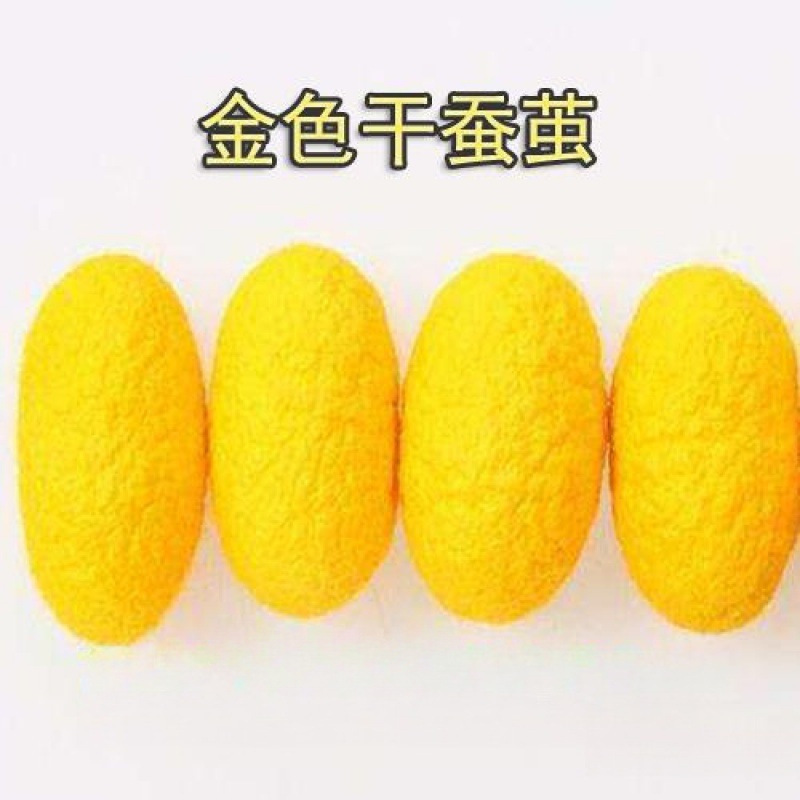 Complete natural beauty silkworm cocoon art worker silkworm cocoon white cocoon colored silkworm cocoon dried cocoon live pupa cocoon clean high quality