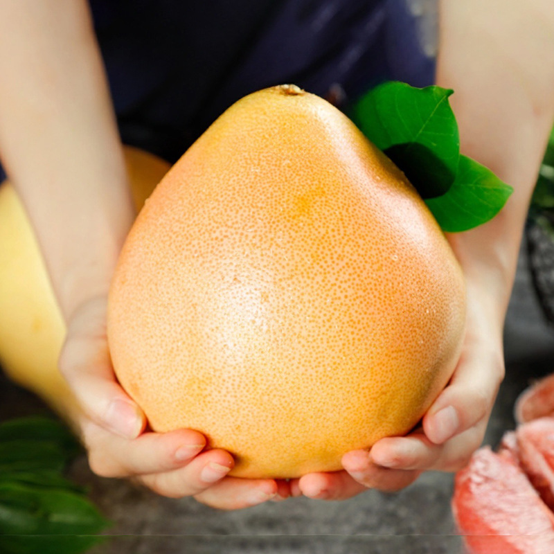 Помело Гуанси Санхонг из Фуцзяни, тонкая кожура, плотная мякоть, много сока, 8 сладких и 2 кислых, 2.2-4.2кг