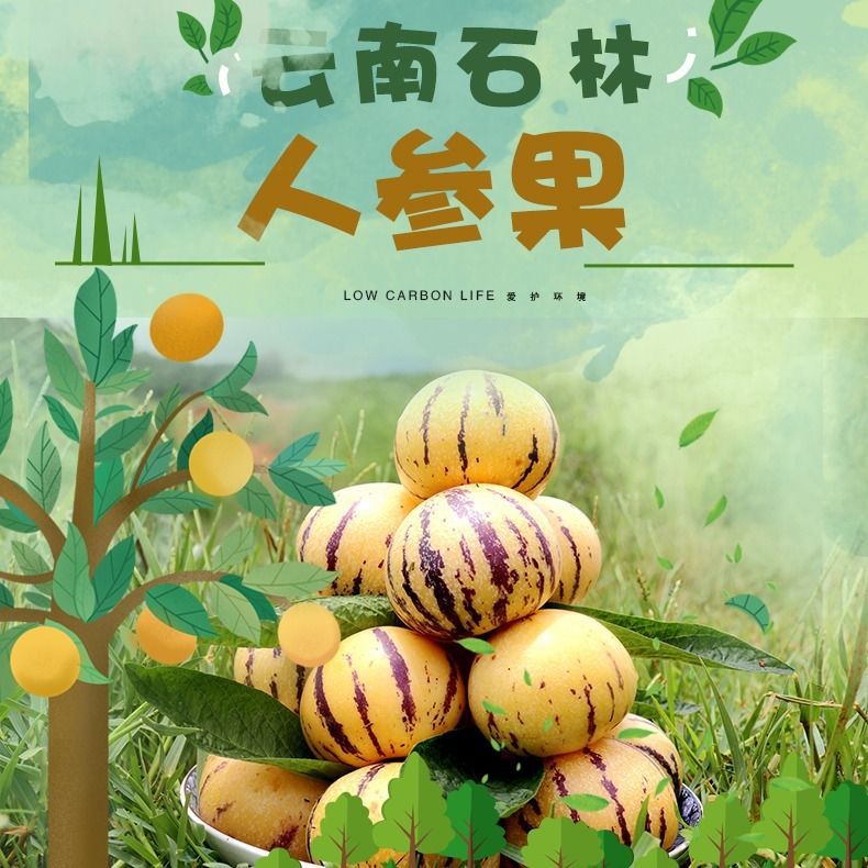 Цветные гinseng Fruit из Юннаня, крупные фрукты, желтая мякоть, для беременных