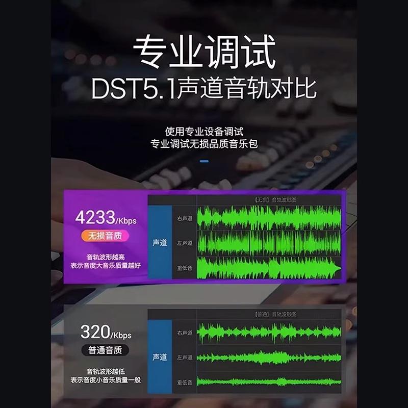 Daolang 2025 New Album Genuine USB Flash Drive Song Car Complete Set Small USB Flash Drive Lossless High Quality Music Mp3