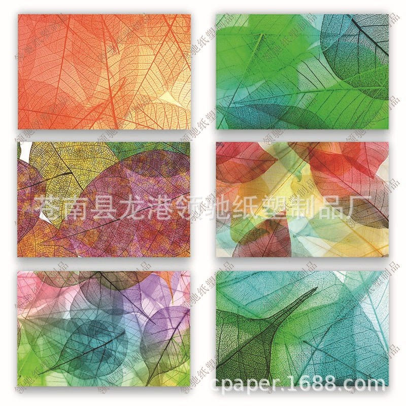 Amazon Cross-Border Kraft Paper Shading Watercolor Alpaca Cactus Lace Thank You Condolence Greeting Card Envelope Set