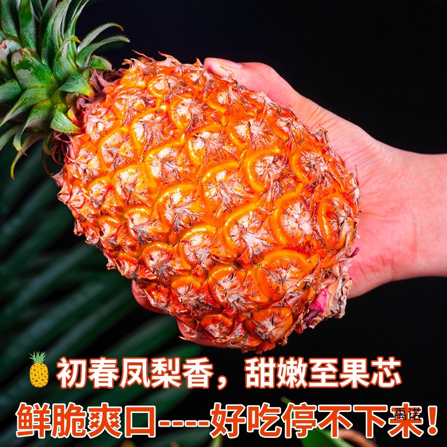 Hot Selling Hainan Golden Diamond Pineapple Fresh Fruit Tree Ripe in Season Whole Box Hand-Shred Pineapple Non-Pineapple 10 Brick Essence