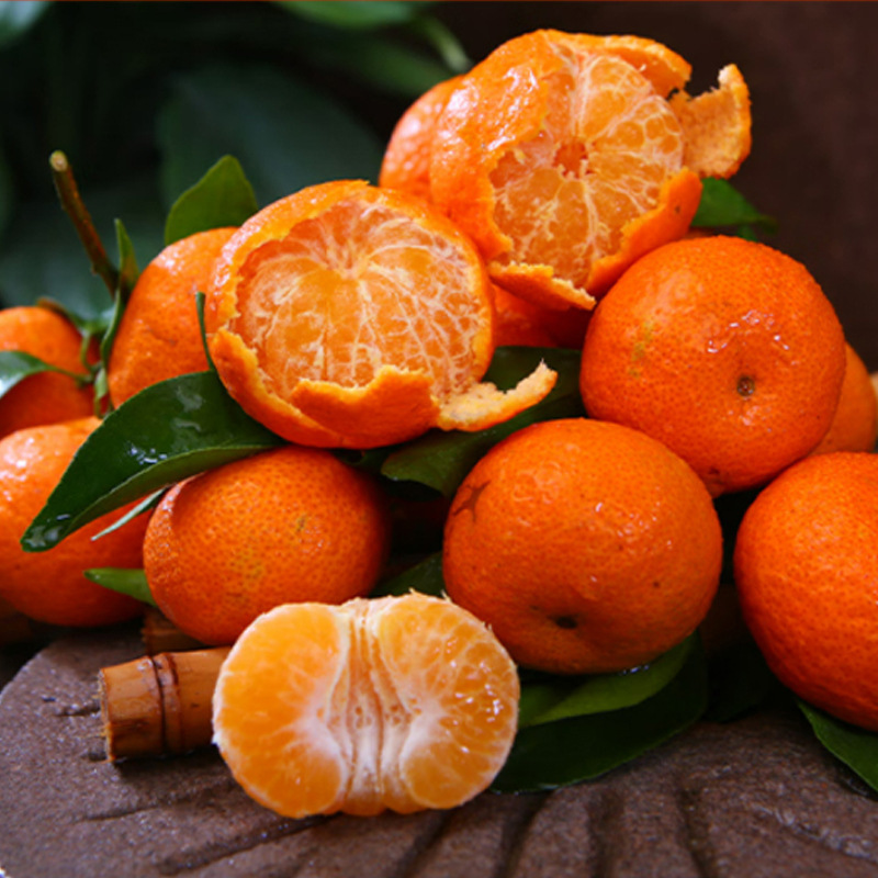 Guangxi Honey, Sugar Orange, Fragrant Small Honey Orange, Sweet and Sour Orange Juice, Golden Autumn Sand Fresh Fruit