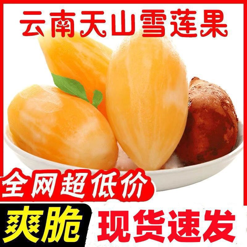 Fresh Yunnan Tian Shan Snow Lotus Root, Fresh Yellow Heart Snow Lotus Fruit, Fresh Seasonal Fruit, Fresh Direct Delivery