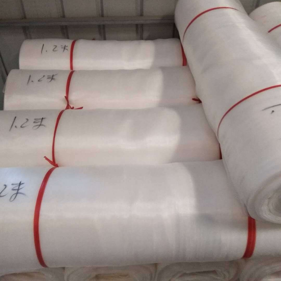 Insect-Proof net 10 mesh 14 20 mesh greenhouse flower vineyard fruit and vegetable bird-proof net cover agricultural plastic insect-proof net