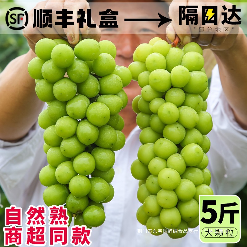 Sunshine Rose Grade 5A Sunshine Rose Grape Fresh Seasonal Fruit Green Grape Seedless Green Grape Sweet