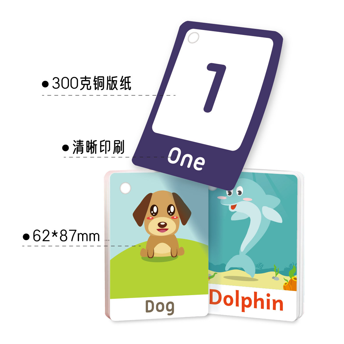 现货批发跨境爆款 早教启蒙记忆英语单词闪卡水果 fruit学习卡片