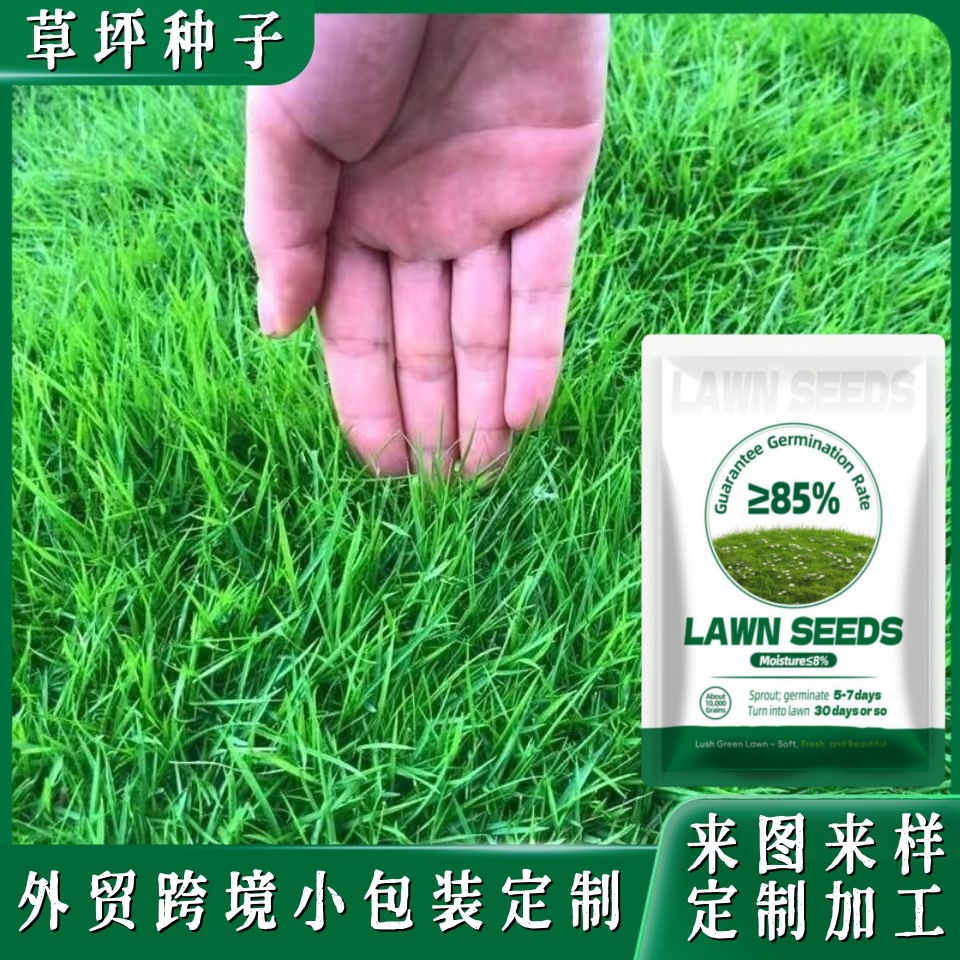 Семена газона для внешней торговли, вечнозелёные, холодостойкие и засухоустойчивые, семена для защиты склона, семена для озеленения в малой упаковке оптом
