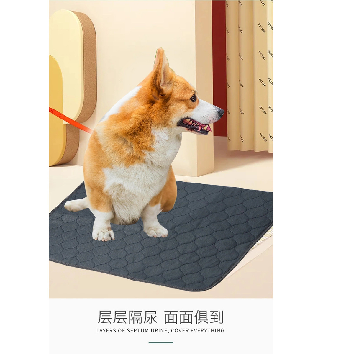 Spot supply diamond-shaped pet pad diaper pad pet diaper pad cat dog absorbent diaper pad complete specifications