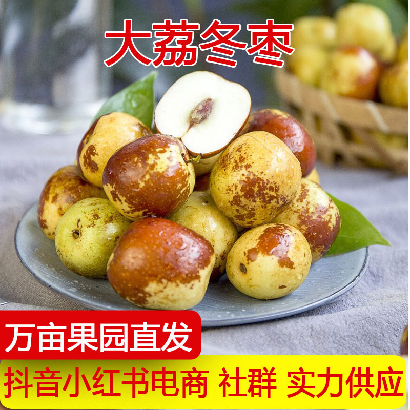 Sf Express зимние жужубы Шэньси Дали, свежие фрукты, хрустящие жужубы, свежие жужубы, сладкие молочные жужубы, крупные медовые зимние жужубы, финики с сахаром