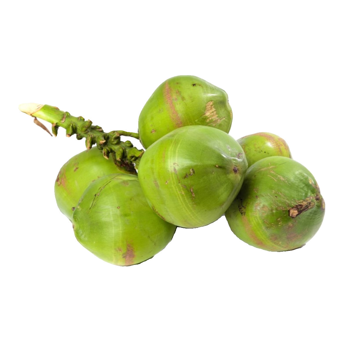 Freshly Picked Fruit Hainan Wenchang Coconut Green Fresh Coconut Milk Fragrant Fruit for Pregnant Women to Replenish Amniotic Fluid Whole Box Free Shipping