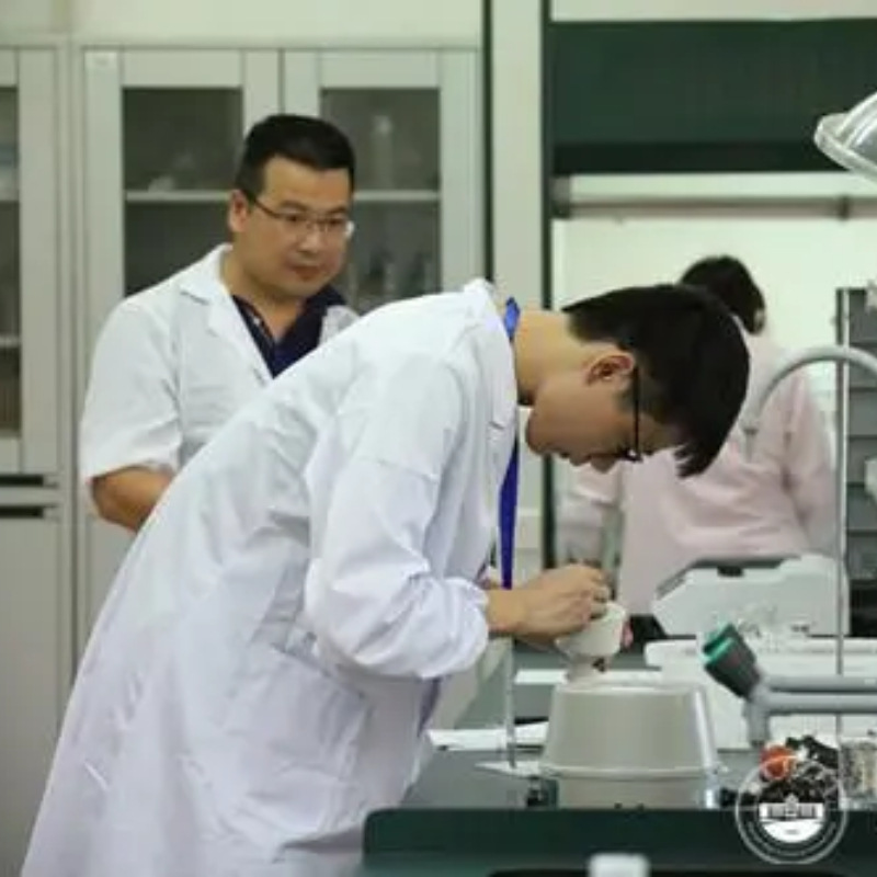 Butylene Glycol Single Propylene Solether Bmp Directly Supplies 99% Content of the Manufacturer, Our Customer Satisfaction Is Our Customer