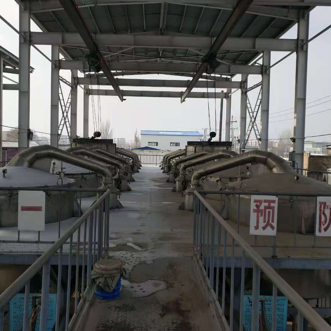 Xinjiang Ili Lavender Essential Oil (French Blue Variety)