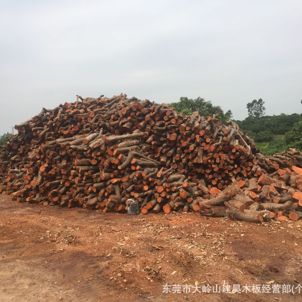 Поставки производителя древесины личи, древесина для кемпинга на открытом воздухе, дрова для отопления и сжигания твердых пород