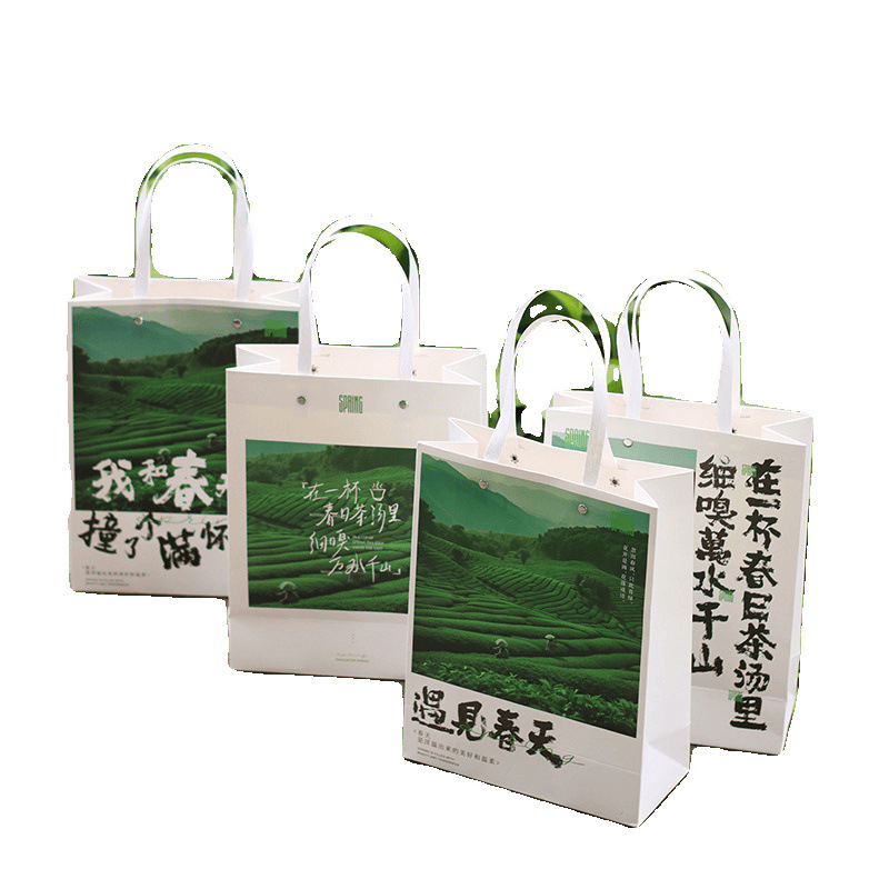 Spring Tea New Handbag Green Tea New Tea Packaging Bag Mingqian Longjing Biluochun Huangshan Maofeng Anji White Tea Gift