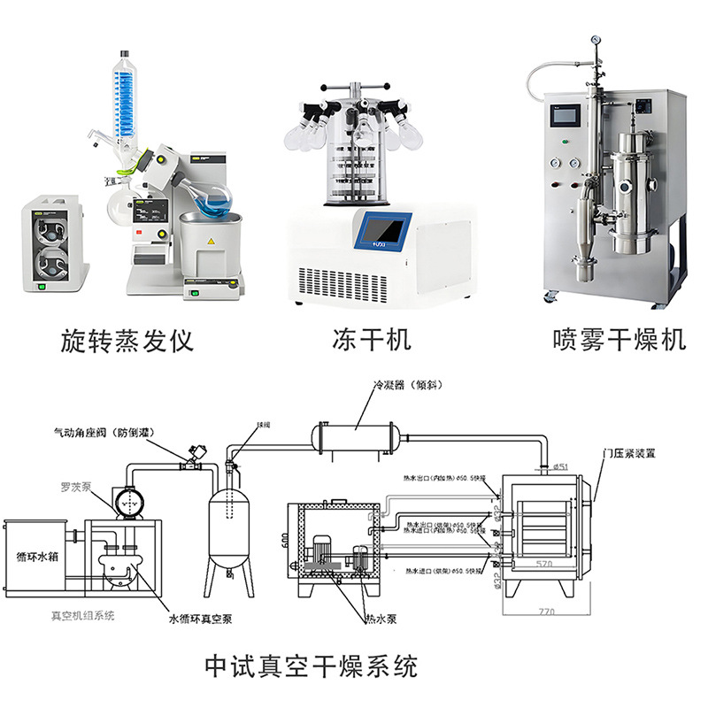 Auxin Transport Inhibitor Microbiology Experiment Protein Biochemistry Experiment Factory Supply