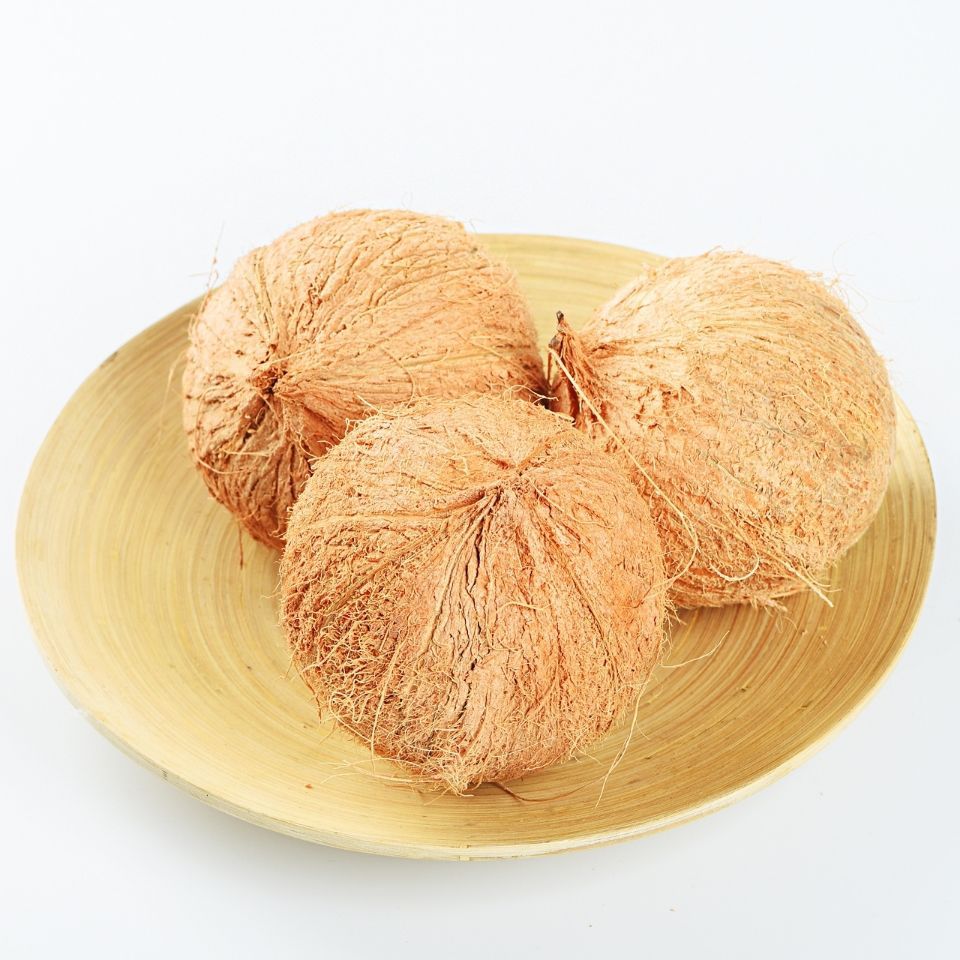 Hainan Seasonal Old Coconut Large Fruit Fresh Tropical Pregnant Women Fruit Stewed Chicken Soup Special Hairy Coconut Non-Thai Coconut Green