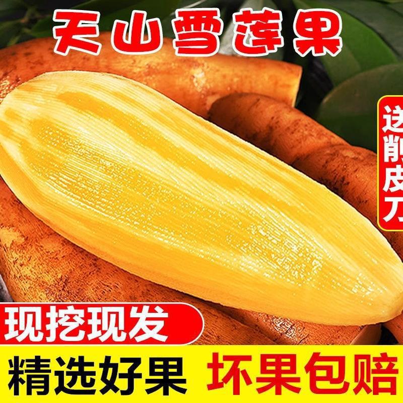 Fresh Yunnan Tian Shan Snow Lotus Root, Seasonal Whole Box Selection of Juicy Red and Yellow Heart Snow Lotus Root