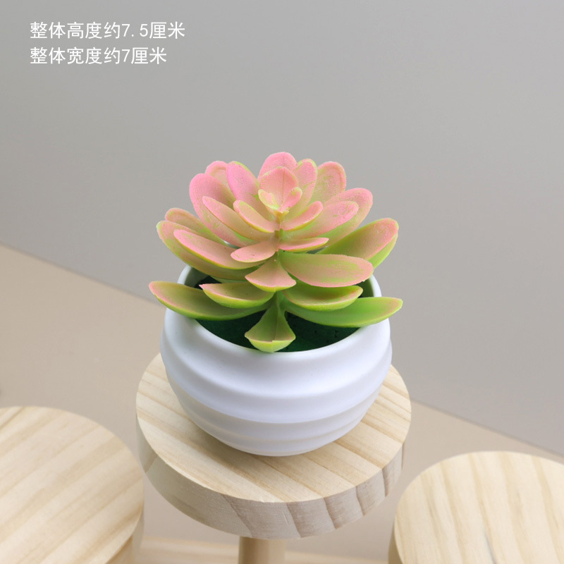 Cross-border wholesale mini lotus plastic artificial potted desktop ornaments simulation plant fleshy fake flower green bonsai