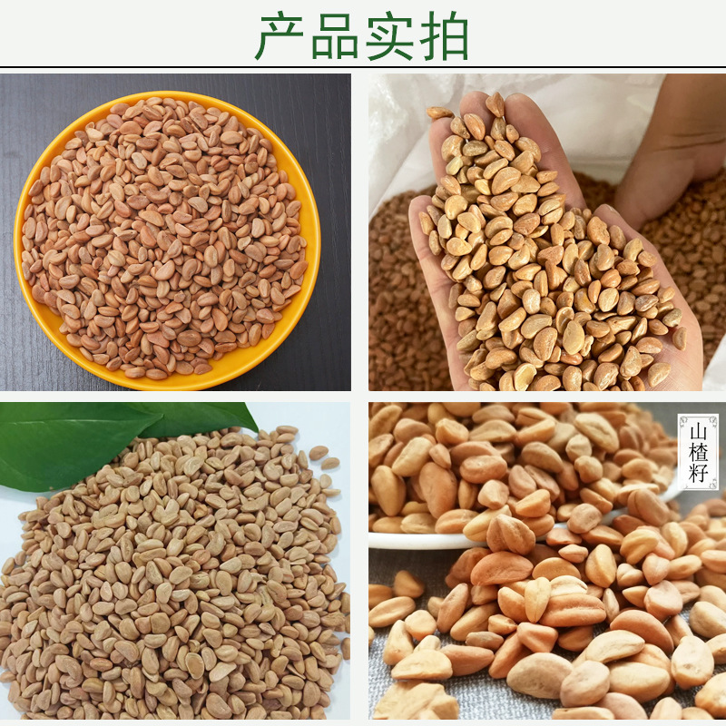 Hawthorn Seeds Washed and Polished Hawthorn Seeds for Kidsren's Playground Sand Pool Floor Hawthorn Seeds Clean New Goods in Stock