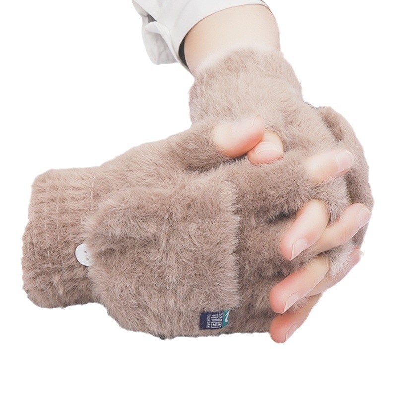 Plush Gloves Cross-Border Winter Gloves Warm Student Flip Gloves Outdoor Gloves Thickened Cold-Proof Internet Celebrity Hot Style