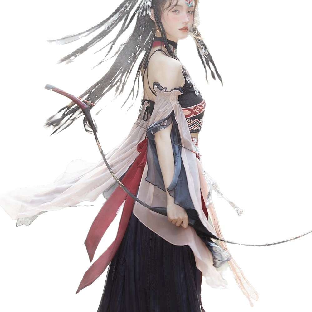 Ethnic Minority Costume Exoticism Hanfu Black Hani Printed Embroidery Silver Jewelry Full Studio Photo Dress