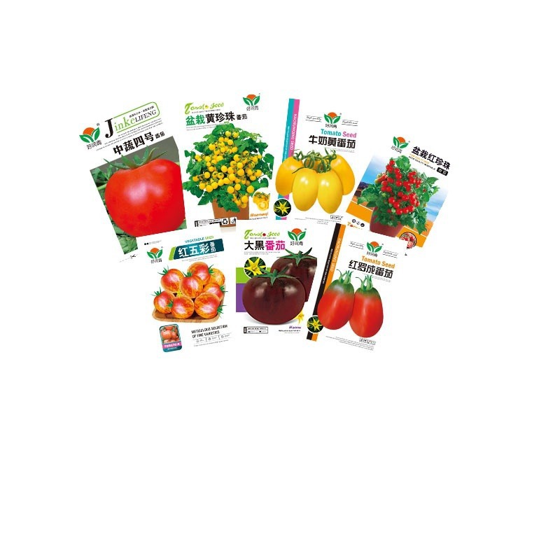 Complete List of Tomato Seeds, Pink Sand Flesh, Red, Yellow and Black Tomato Seeds, Cherry Tomatoes, Four-Season Potted Seeds