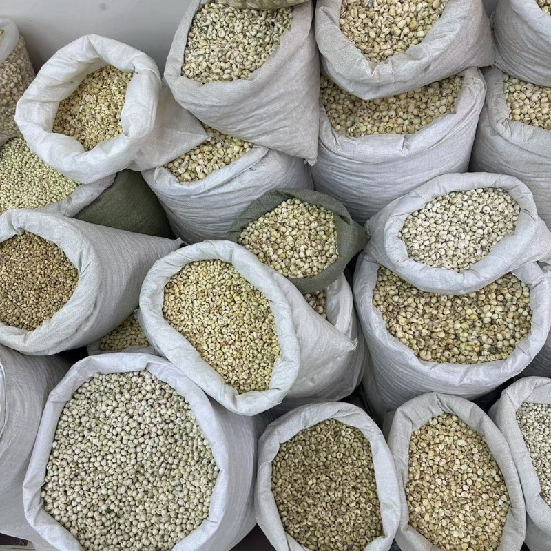 Zhebei Mother, Pingbei Mother, Sulfur-Free Mother Granules, Powdered Bulk in Stock 500g Wholesale, Various Specifications of Sichuan Mother