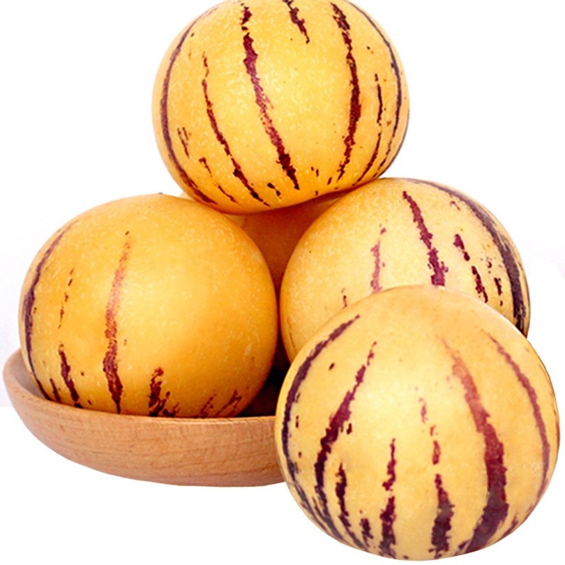 Yunnan Ginseng Fruit Fresh Fruit Free Shipping Origin Straight Life Fruit Ginseng Fruit Drop Shipping