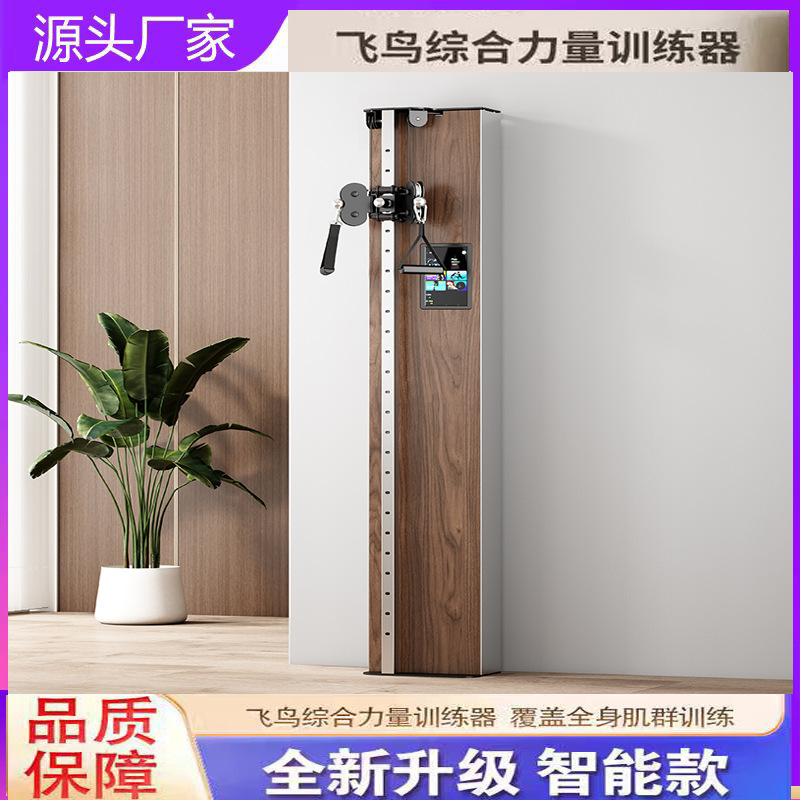 Умное цифровое фитнес-оборудование, настенное, универсальный тренажер, умный дом