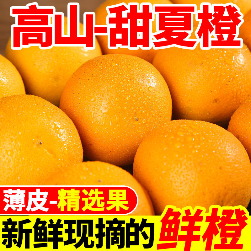 Alpine Summer Oranges, Freshly Picked Fresh Oranges, Seasonal Hand-Peeled Sweet Oranges, Thin-Skinned Navel Oranges, a Whole Box with Free Shipping