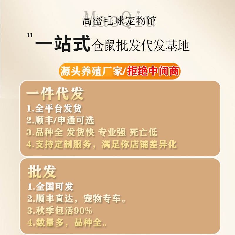 Free Shipping: Small Hamster, Silver Fox Pudding, Three-Threaded Golden Bear Pet, One Hamster Baby, One Baby, One Live Couple