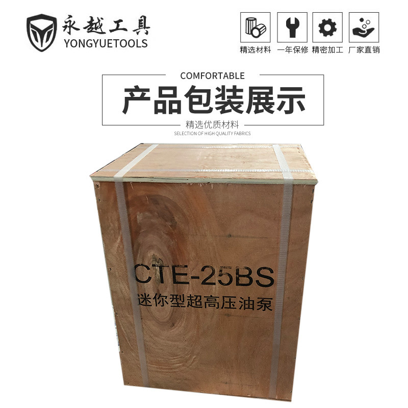 Oil Return Pump Single and Double Rechargeable Small Remote Control Press Electric 220V Hydraulic Pump Qq Three Tecbs Pump Other