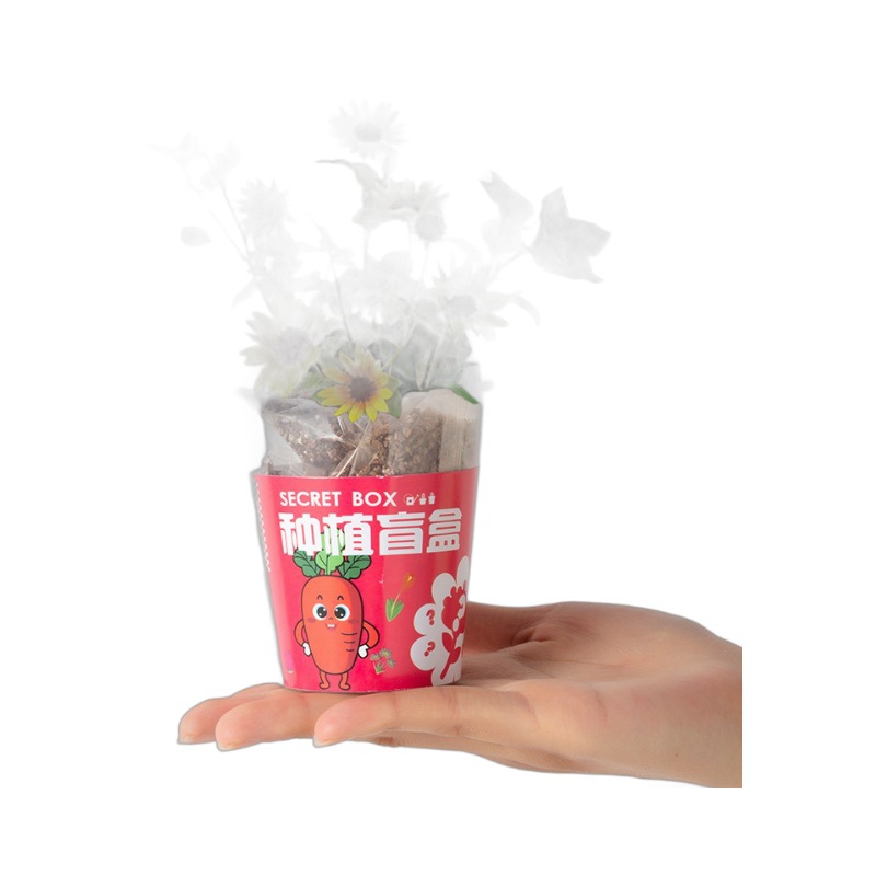 Planting Blind Box Children's Plant Potted Small Potted Kindergarten Observation Plant Primary School Students Seed Mini Wholesale