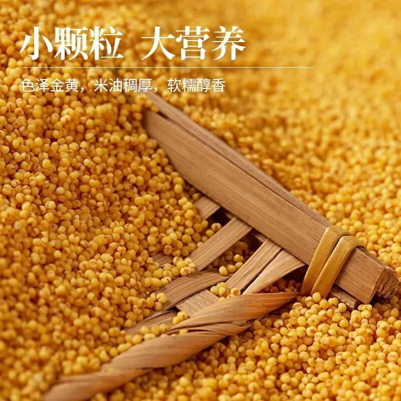 Northeast Xiaomi 2.5kg Wholesale New Xiaomi Farmhouse Golden Xiaomi Porridge Xiaomi Porridge Whole Grains Can Be Delivered