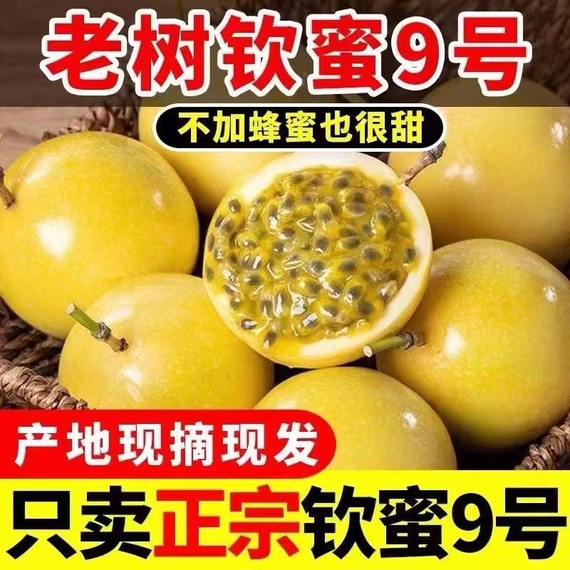 Guangxi Qinhmi No. 9 Golden Passion Fruit 10 Fresh Fruits Seasonal Whole Box Passion Fruit Free Shipping Daryuan Fruit Pulp 2.5kg