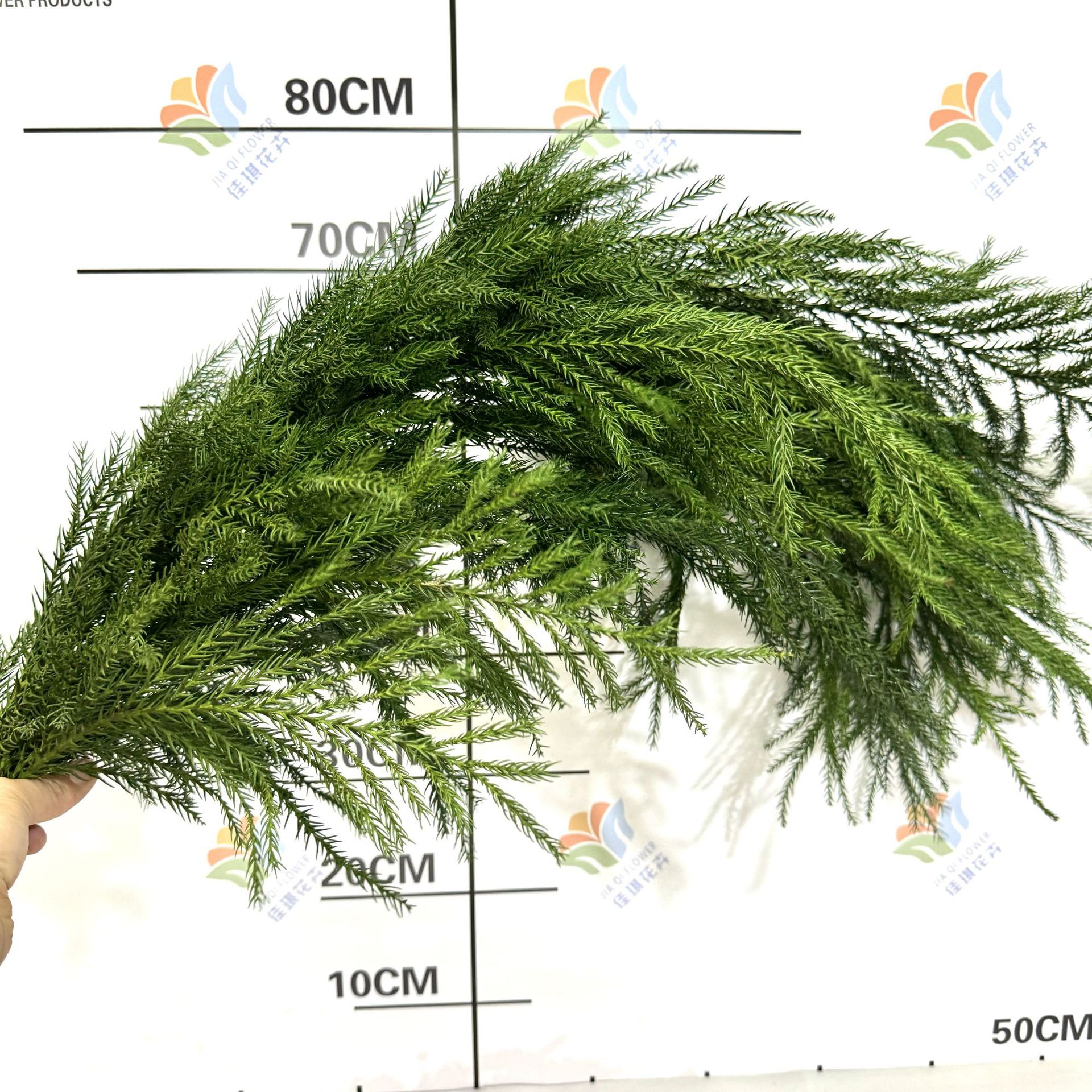 Fresh Tianzhu Girl Pine Branches Fresh Cut Flowers Yunnan Base Direct Batch Wedding Christmas Holiday Decoration Flowers