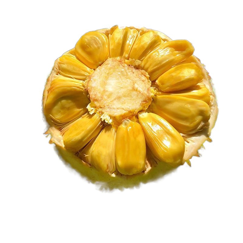 Hainan Sanya Yellow Flesh Jackfruit Fresh Fruit Fake Durian a Whole Red Flesh Jackfruit Wholesale Free Shipping