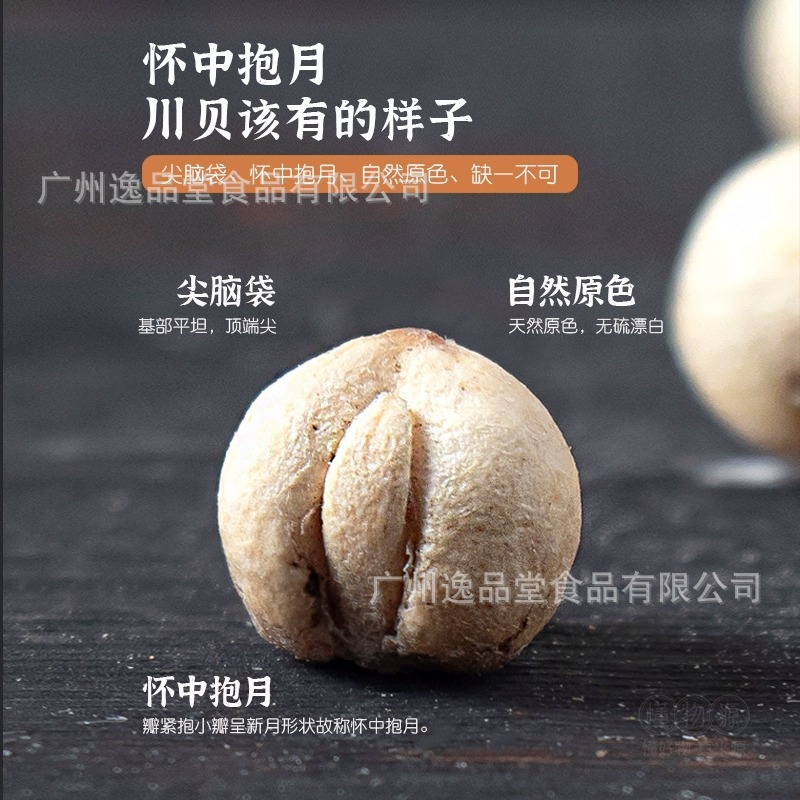 Natural Chinese Herbal Medicine Sichuan Fritillaria, Free Shipping, Sichuan Fritillaria Powder, Songbei Rice, Licorice, Dried Tangerine Peel, Sulfur-Free Wholesale