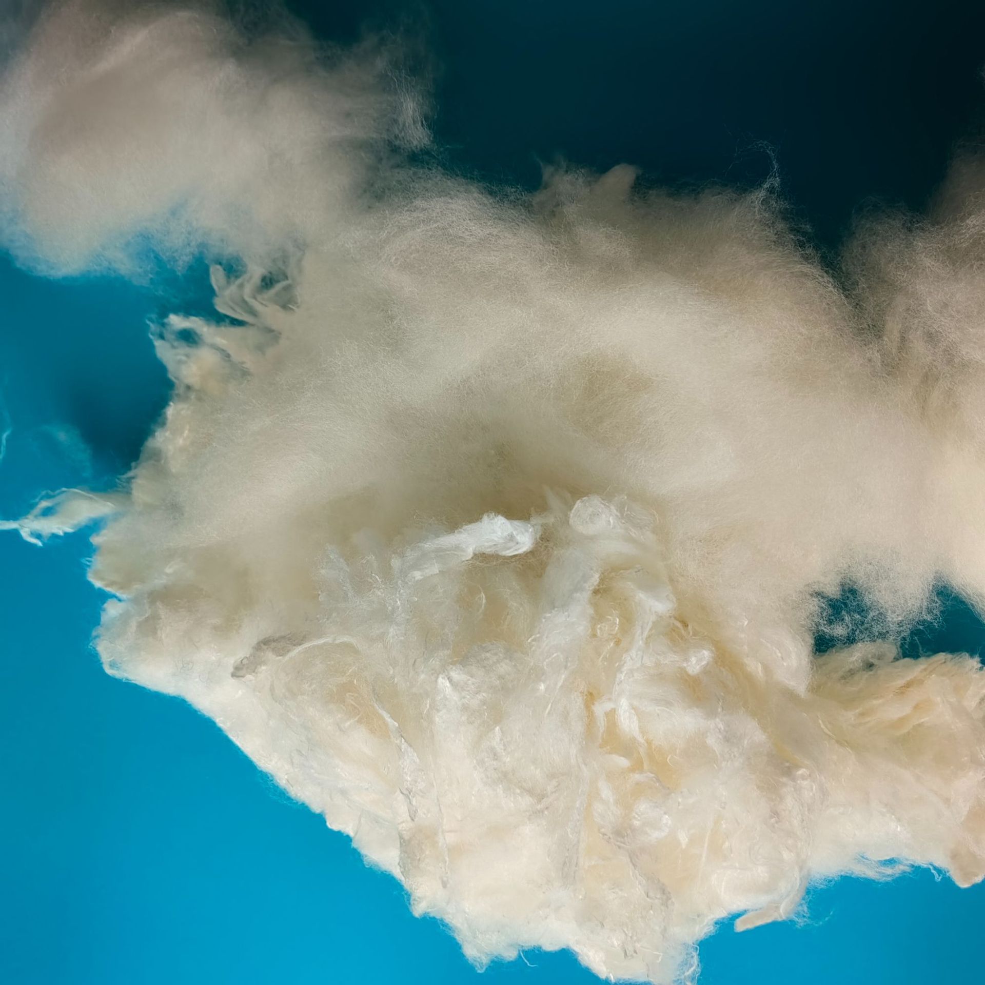 Viscose fiber 1.2D * 38 viscose fiber staple fiber degradable viscose fiber cellulose fiber manufacturers