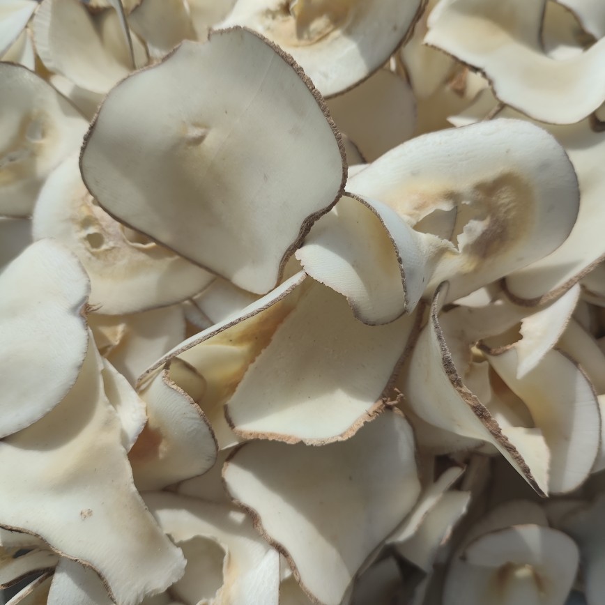 Производитель подводного кокоса, прямая продажа, оптовая продажа, ингредиенты для супа, оригинальные сушеные ломтики подводного кокоса, ингредиенты для десертов, дропшиппинг