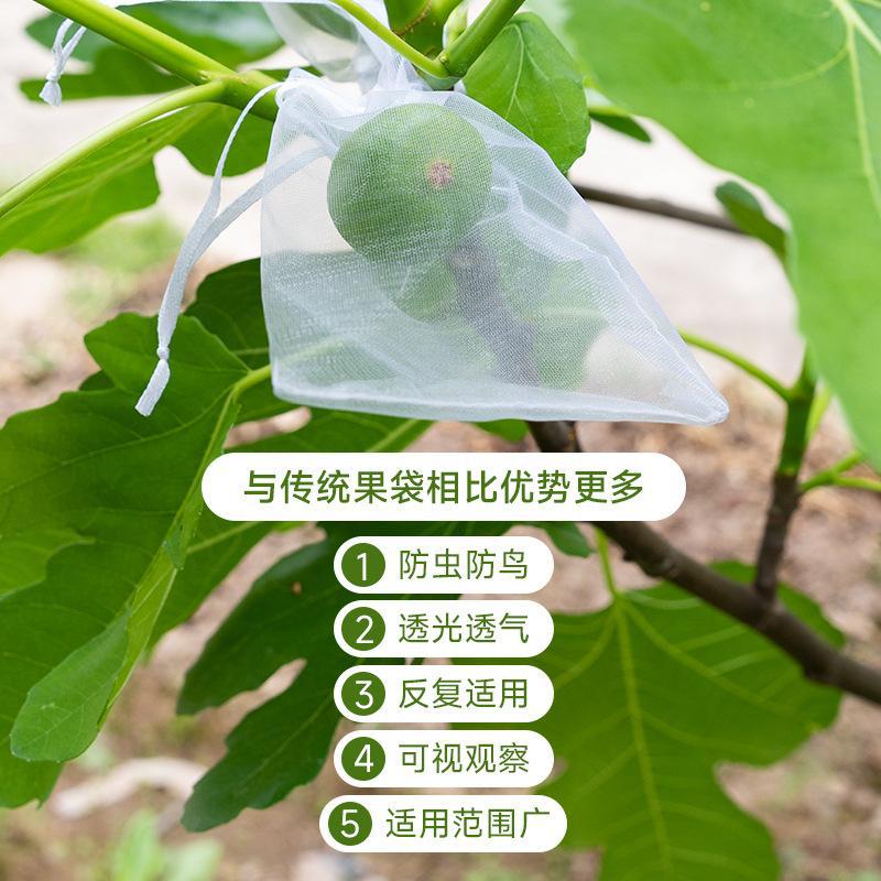 Fruit Bagging Anti-Bird Mesh Bag, Insect-Proof Bag for Melons and Fruits, Fig, Loquat, Grape, Peach, Strawberry Protection Bag