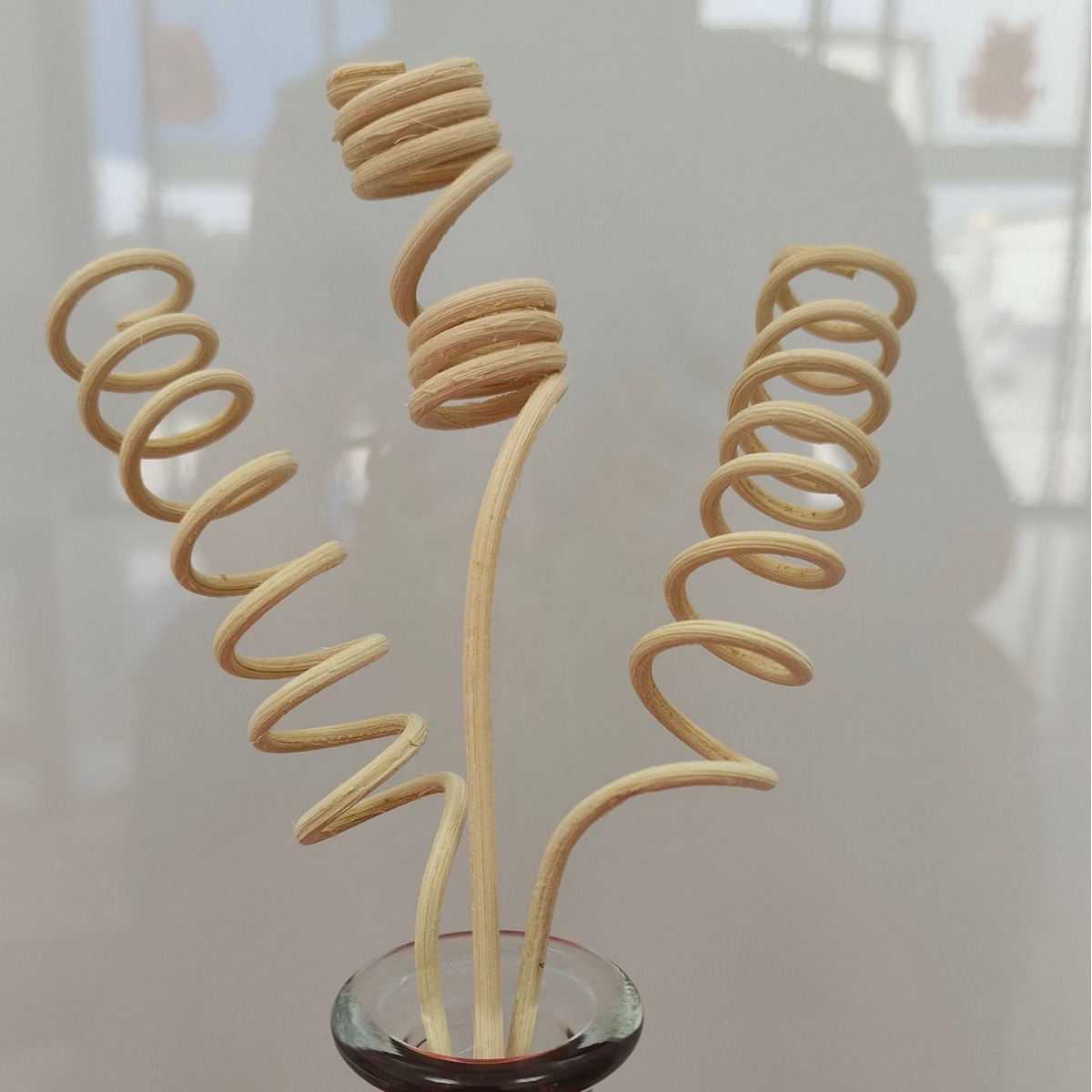 Fireless Aroma Diffuser Sticks Imported from Indonesia, Diffuser Sticks in the Shape of Willow Branches, Fragrance-Absorbing Sticks, Air Freshener, Fresh Air