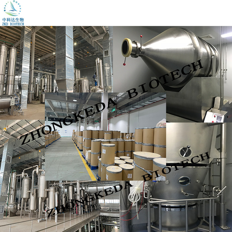 Turmeric Extract Turmeric Fractionated Extract Turmeric Extract Powder Turmeric Spray-Dried Powder Curcumin in Stock