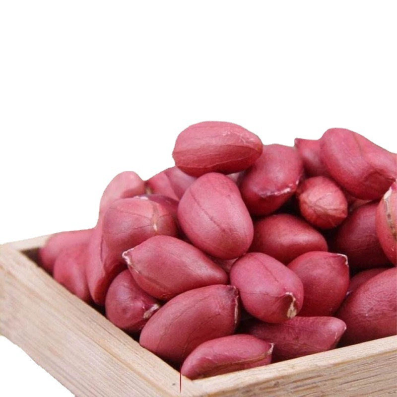 Red Peanut Fresh Bag Farm Dried Four Peanut Kernel Grain Cereals Shelled Red Peanut