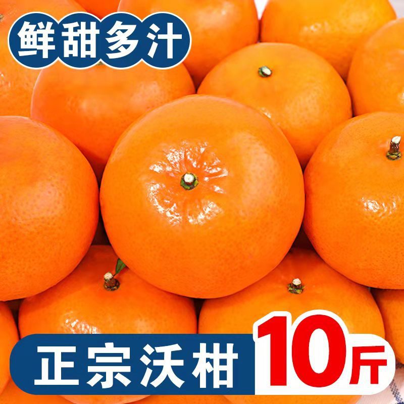 Freshly Picked Wumingwo Sweet Oranges, Fresh Seasonal Oranges, Thin-Skinned Oranges, Whole Box Free Shipping Wholesale