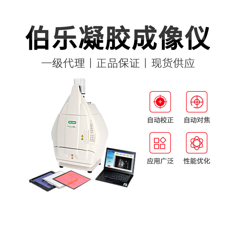 American Bio-Rad Gel Imaging System Chemidoc/Geldoc Gel Document System